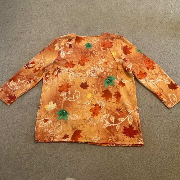 size XL, bust up to 44” inches, new condition, cat 🐈⬛ and cornucopia shirt - Picture 6 of 6